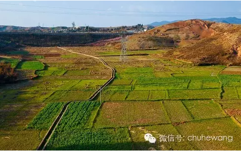 【自然有道理】農(nóng)業(yè)部喊話：土壤亞健康，要配方施肥和增施有機(jī)質(zhì)